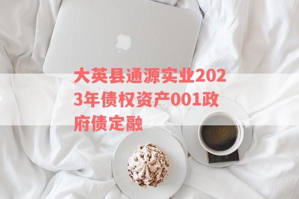 大英县通源实业2023年债权资产001政府债定融