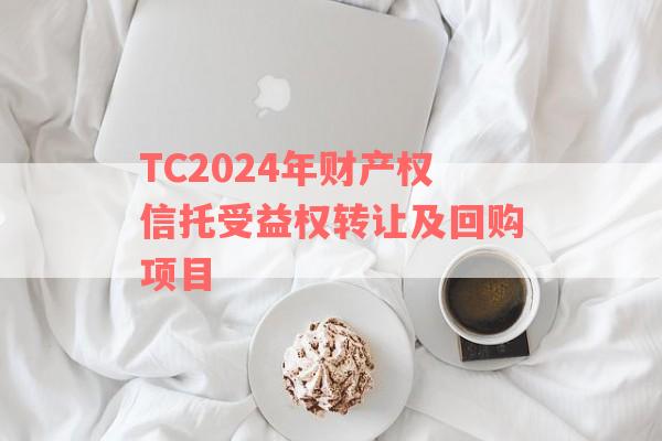 TC2024年财产权信托受益权转让及回购项目