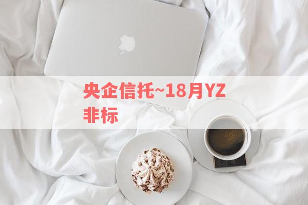 央企信托~18月YZ非标