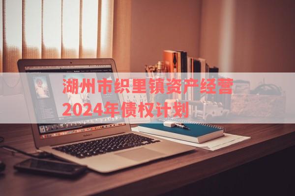 湖州市织里镇资产经营2024年债权计划