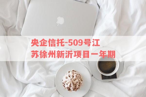 央企信托-509号江苏徐州新沂项目一年期