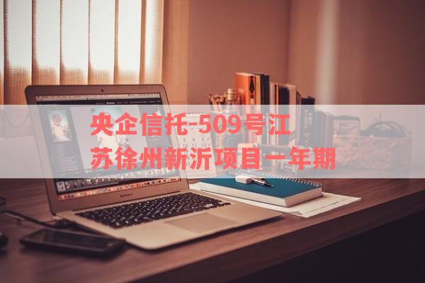 央企信托-509号江苏徐州新沂项目一年期