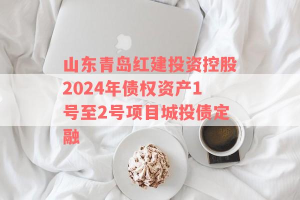 山东青岛红建投资控股2024年债权资产1号至2号项目城投债定融