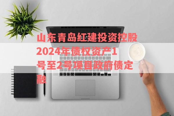 山东青岛红建投资控股2024年债权资产1号至2号项目政府债定融