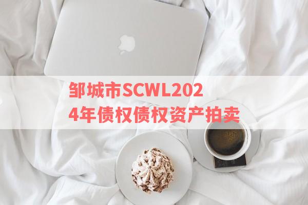 邹城市SCWL2024年债权债权资产拍卖