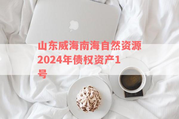 山东威海南海自然资源2024年债权资产1号