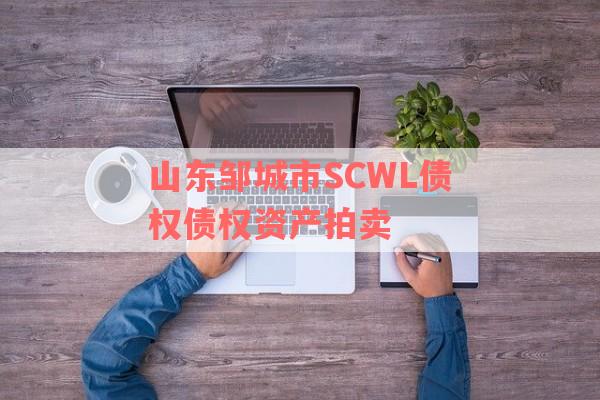 山东邹城市SCWL债权债权资产拍卖