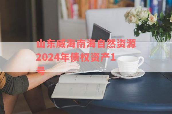 山东威海南海自然资源2024年债权资产1号