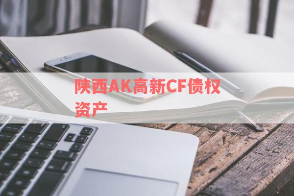 陕西AK高新CF债权资产