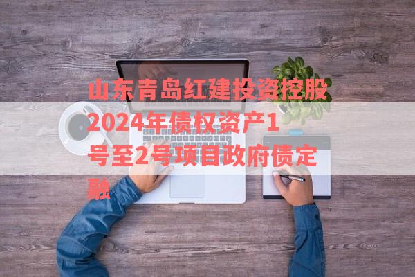 山东青岛红建投资控股2024年债权资产1号至2号项目政府债定融