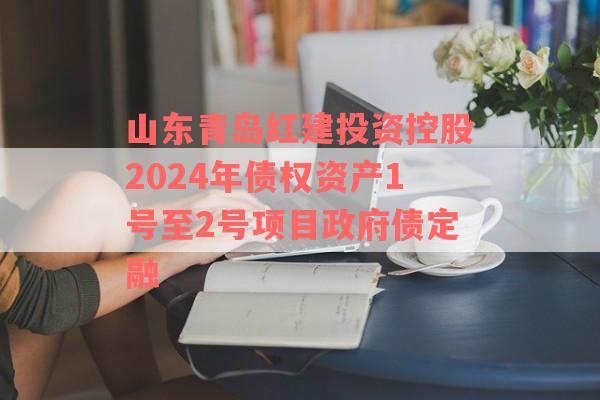 山东青岛红建投资控股2024年债权资产1号至2号项目政府债定融