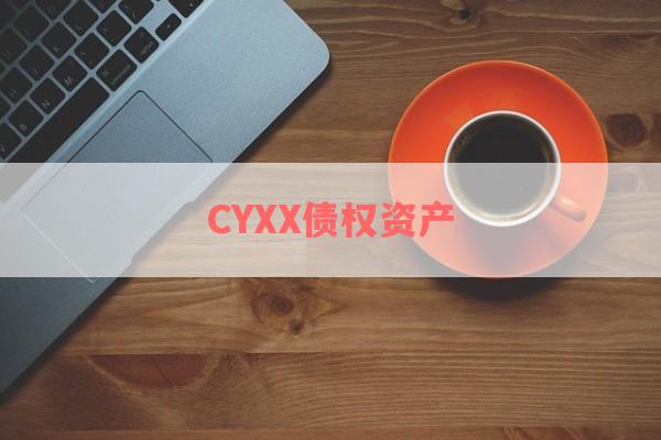 CYXX债权资产