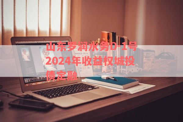 山东罗润水务D-1号2024年收益权城投债定融