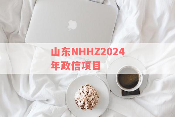 山东NHHZ2024年政信项目