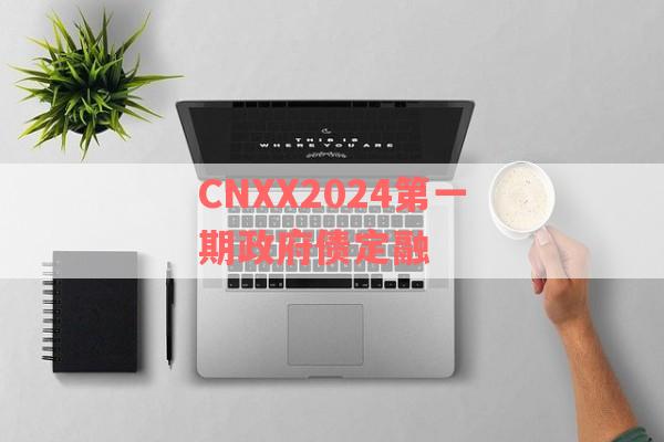 CNXX2024第一期政府债定融