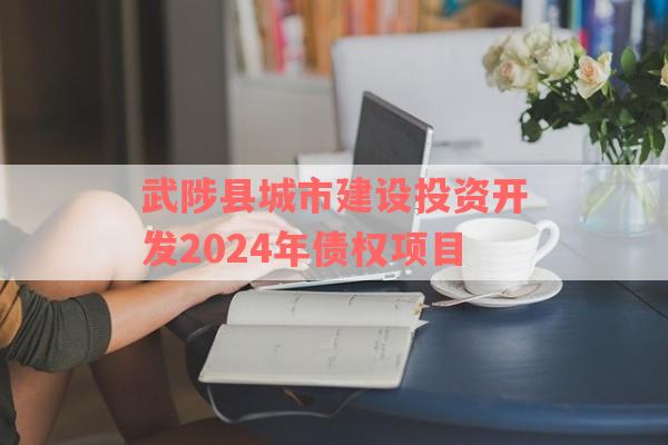 武陟县城市建设投资开发2024年债权项目