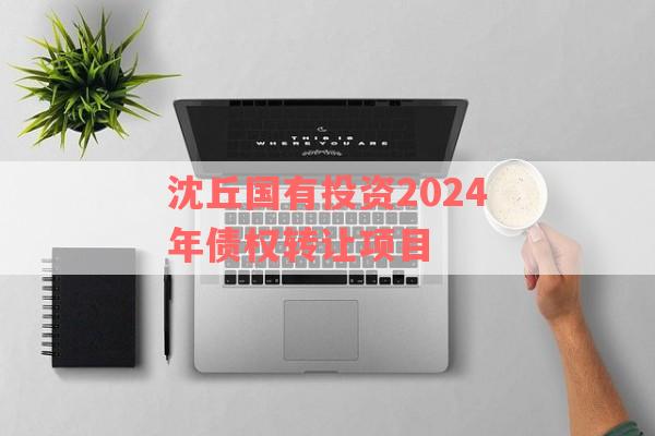 沈丘国有投资2024年债权转让项目