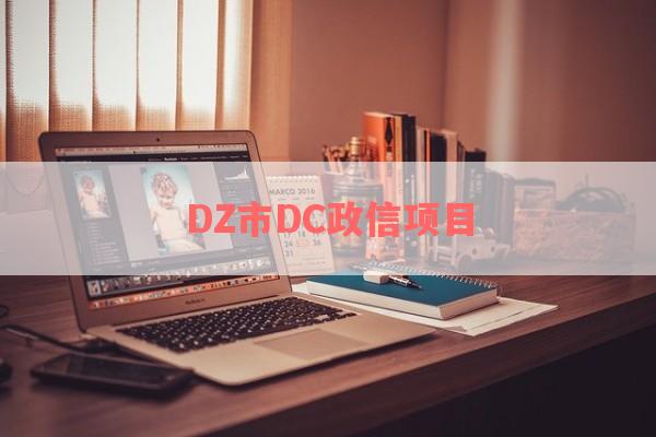 DZ市DC政信项目