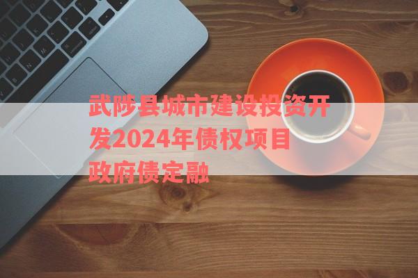 武陟县城市建设投资开发2024年债权项目政府债定融