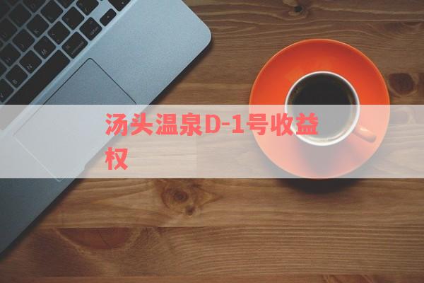 汤头温泉D-1号收益权