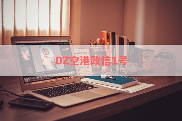 DZ空港政信1号