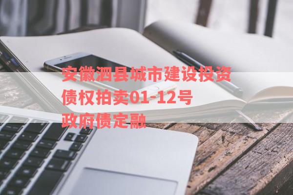 安徽泗县城市建设投资债权拍卖01-12号政府债定融