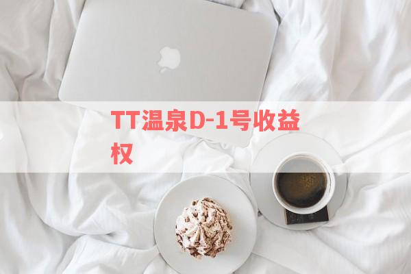 TT温泉D-1号收益权