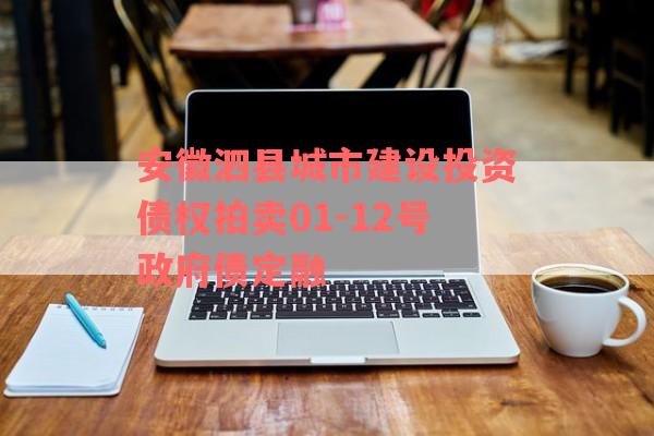 安徽泗县城市建设投资债权拍卖01-12号政府债定融