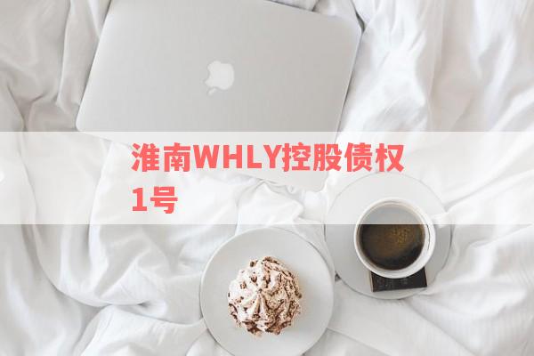 淮南WHLY控股债权1号