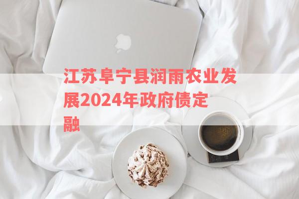 江苏阜宁县润雨农业发展2024年政府债定融