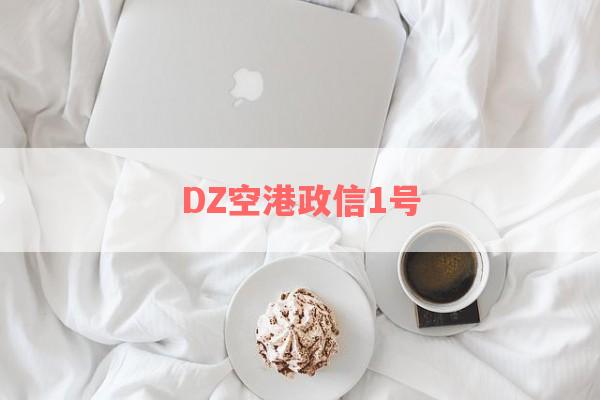 DZ空港政信1号