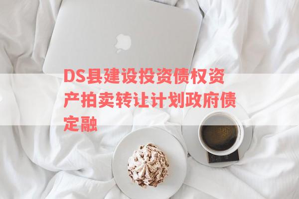 DS县建设投资债权资产拍卖转让计划政府债定融