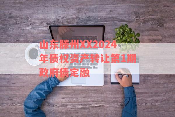 山东滕州XX2024年债权资产转让第1期政府债定融