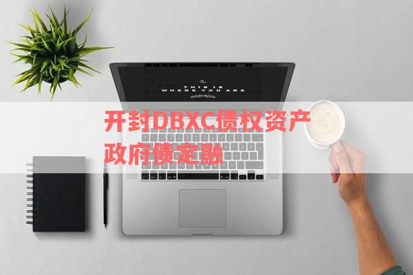 开封DBXC债权资产政府债定融