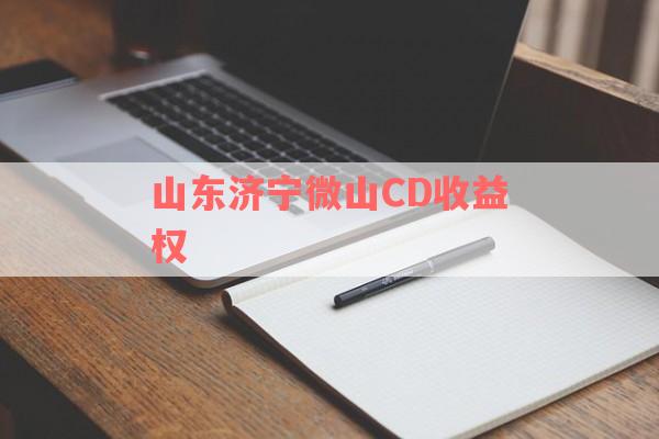 山东济宁微山CD收益权