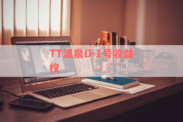 TT温泉D-1号收益权